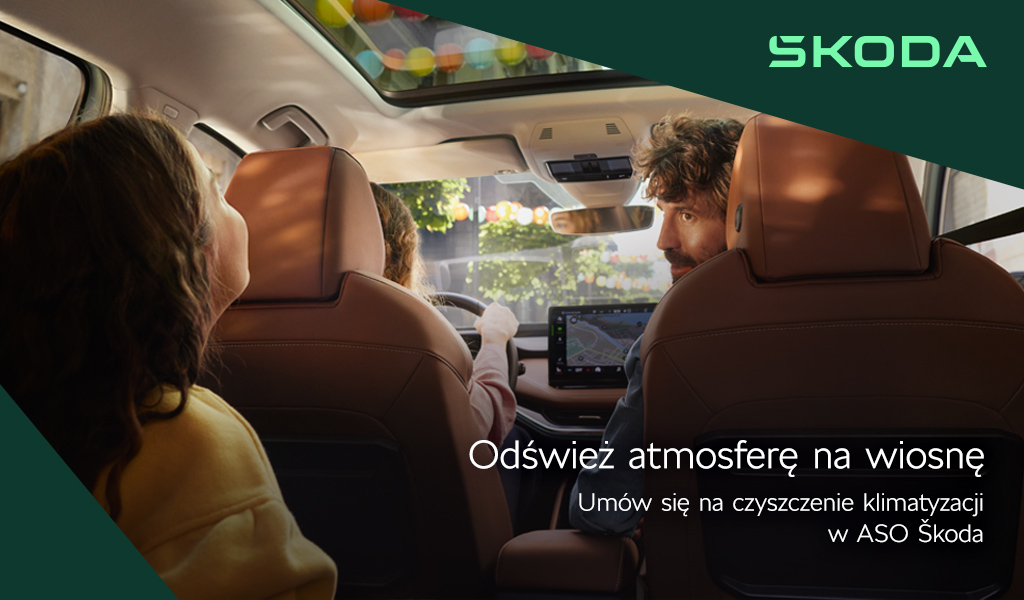 Czyszczenie klimatyzacji z wymianą filtra przeciwpyłkowego  <br><span class="price"> od 290 zł  </span>
